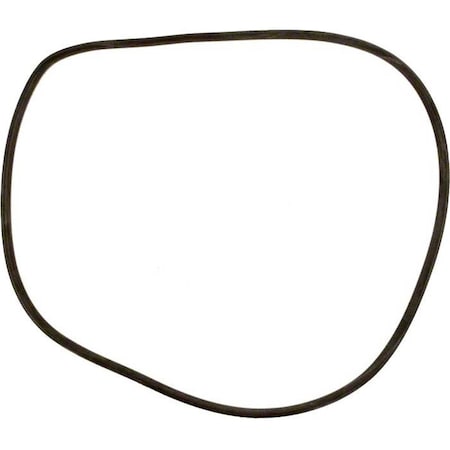 Ala-Pt Filter Tank O-Ring APCO2467